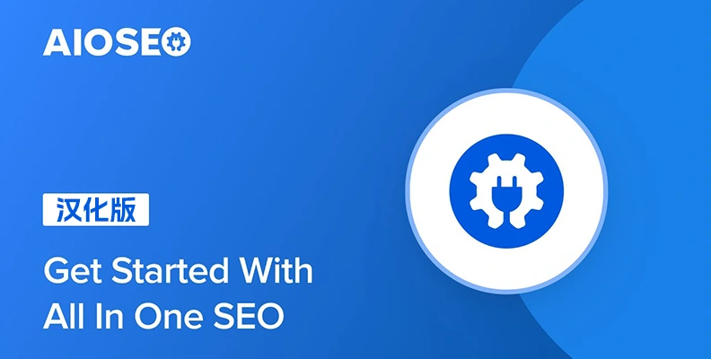 All in One SEO Pack Pro v4.5.3.1 汉化版