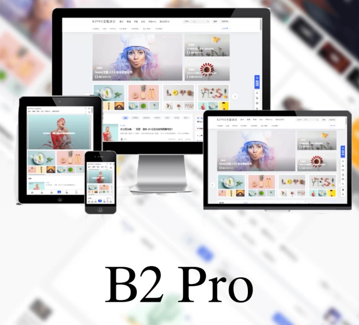 B2 PRO主题 v5.4.2 免授权直接安装